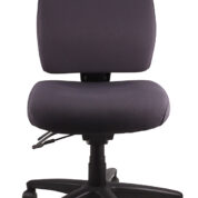 Ergo Form Ergonomic Chair 