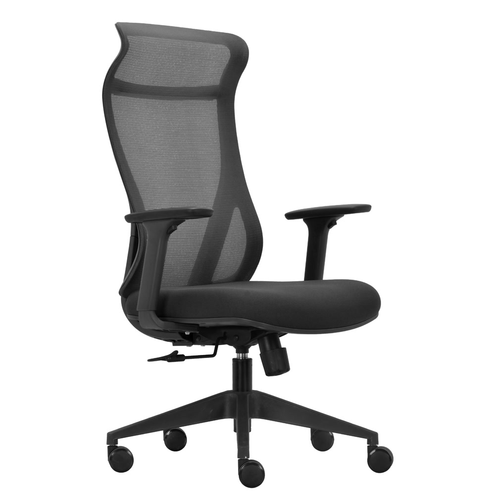 Everest Mesh Back Executive Chair