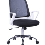 Fleet Task Chair - White Frame