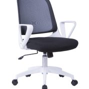 Fleet Task Chair - Green And White