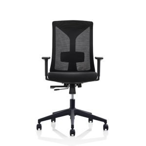Flex Pro Mesh Back Chair