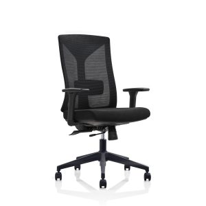 Flex Pro Mesh Back Chair 