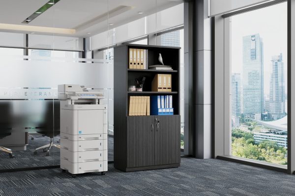 Half Door Stationery Cupboard - Blackened Linewood 