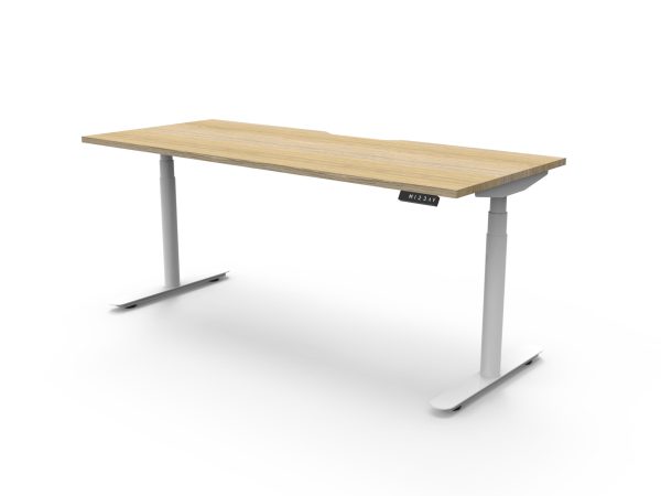 HALO+ SINGLE Sided Electric Height Adjustable Desk 1200 HALO+ SINGLE Sided Electric Height Adjustable Desk 1200