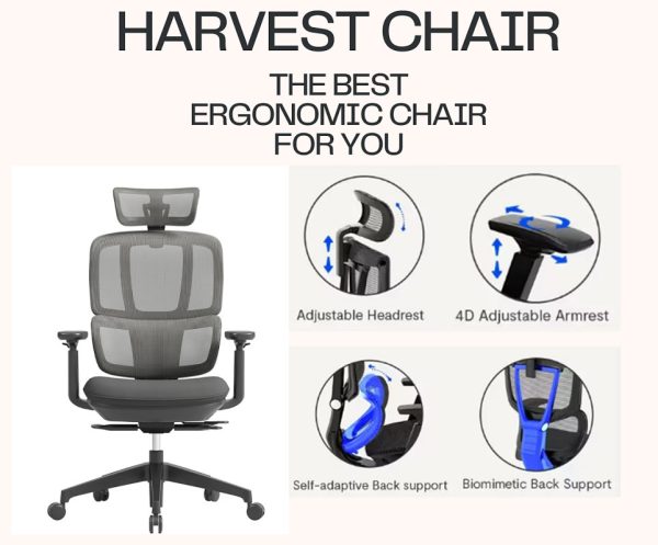 Harvest Ergonomics High Back Chair Harvest Ergonomics High Back Chair