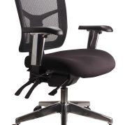 Mesh Mirae MEDIUM Back Chair - With Arms