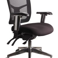 Mesh Mirae Ergonomic Chair - Chrome Base