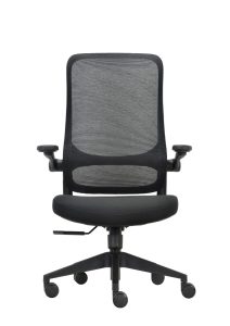 Impact Executive Chair With Fold Up Arms