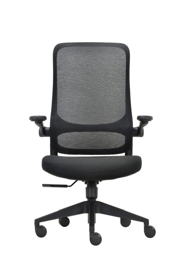 Impact Executive Chair With Fold Up Arms