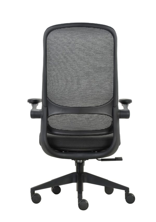 Impact Executive Chair With Fold Up Arms