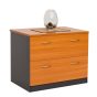 2 Drawers Lateral Filing Cabinet - 4 Colours