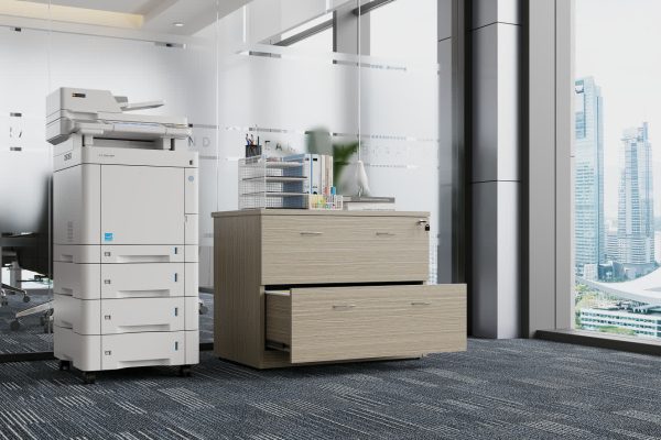 2 Drawers Lateral Filing Cabinet - Tawny Linewood 2 Drawers Lateral Filing Cabinet - Tawny Linewood