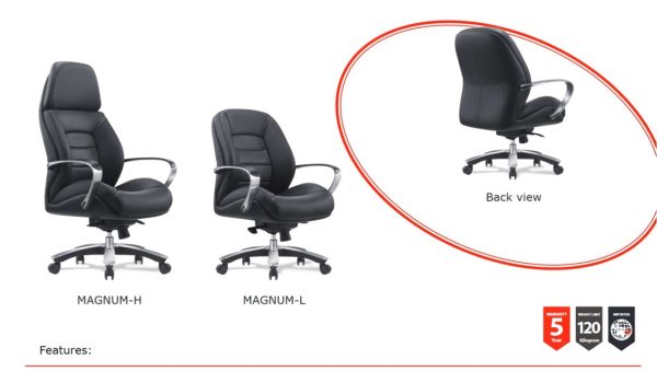 Magnum Low Back Executive Leather Chair
