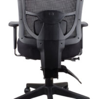 Merida Medium Back Task Chair