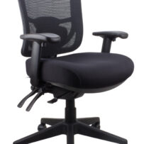 Merida Medium Back Task Chair
