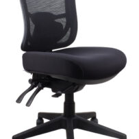 Merida Medium Back Task Chair