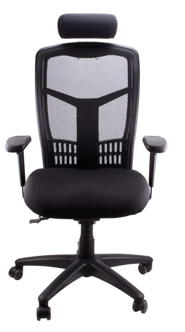 Deluxe Mesh High Back Executive Chair Deluxe Mesh High Back Executive Chair