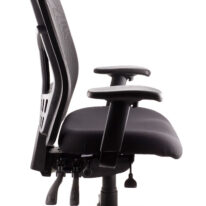 Deluxe Mesh High Back Executive Chair