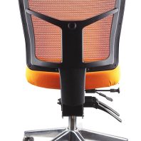 Mesh Mirae Ergonomic Chair - Chrome Base