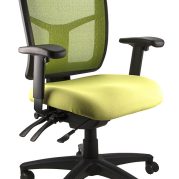 Mesh Mirae MEDIUM Back Chair - With Arms