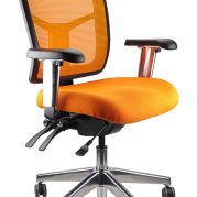 Mesh Mirae MEDIUM Back Chair - With Arms