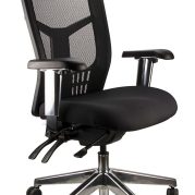 Mesh Mirae HIGH Back Task Chair