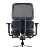 Orca Executive Chair