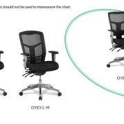 Oyster Executive Low Back Mesh Chair