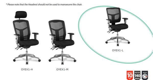 Oyster Executive Low Back Mesh Chair Oyster Executive Low Back Mesh Chair