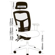 Oyster Executive Low Back Mesh Chair