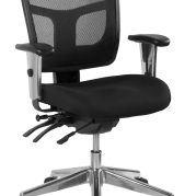 Oyster Executive Low Back Mesh Chair