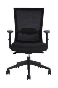 High Port Mesh Back Task Chair