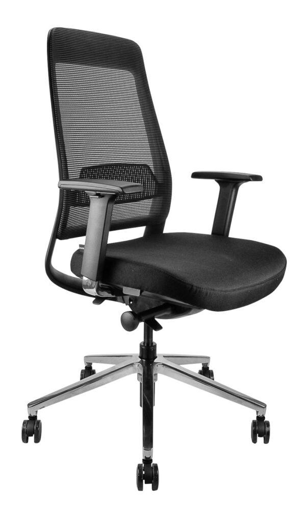 Roma Fabric Task Chair