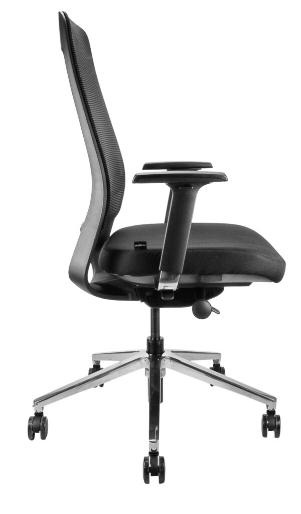 Roma Fabric Task Chair