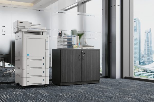 Hinge Door Credenza / Buffet 900 - Blackend Linewood