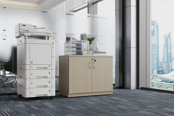 Hinge Door Credenza / Buffet 900 - Blackend Linewood