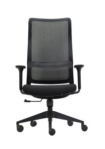 Swift Executive Chair With Lumber Support