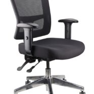 Toledo Task Chair With Arms