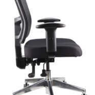 Toledo Task Chair With Arms