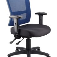 Toledo Task Chair With Arms