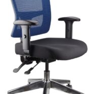 Toledo Task Chair With Arms