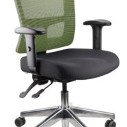 Toledo Task Chair With Arms