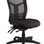 Mesh Mirae HIGH Back Task Chair