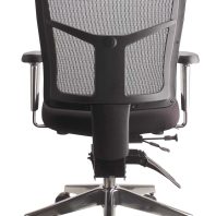 Mesh Mirae Ergonomic Chair - Chrome Base