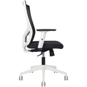 Astro Mesh Back Task Chair